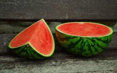 Watermelon Benefits: গরমকালে জলের বিকল্প হিসেবে তরমুজ কতটা উপকারী জানেন?