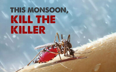 World Mosquito Day 2021: ম্যালেরিয়া, ডেঙ্গির মরশুমে মশার থেকে সাবধান থাকুন